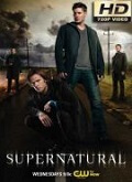 Sobrenatural Temporada 13 [720p]